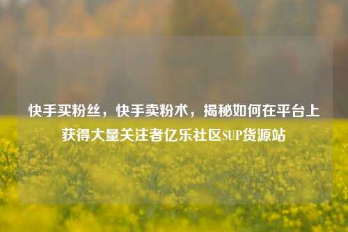 快手买粉丝，快手卖粉术	，揭秘如何在平台上获得大量关注者亿乐社区SUP货源站  第1张