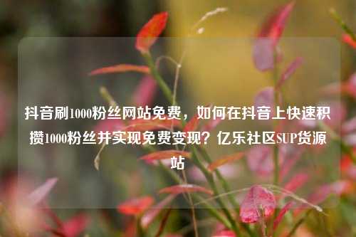 抖音刷1000粉丝网站免费，如何在抖音上快速积攒1000粉丝并实现免费变现？亿乐社区SUP货源站  第1张