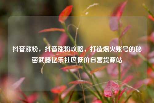 抖音涨粉	，抖音涨粉攻略，打造爆火账号的秘密武器亿乐社区低价自营货源站  第1张