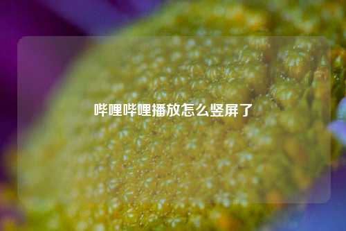 哔哩哔哩播放怎么竖屏了  第1张