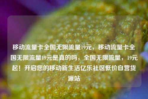 移动流量卡全国无限流量19元，移动流量卡全国无限流量19元是真的吗	，全国无限流量，19元起！开启您的移动新生活亿乐社区低价自营货源站  第1张