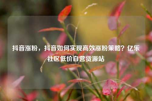 抖音涨粉，抖音如何实现高效涨粉策略？亿乐社区低价自营货源站  第1张