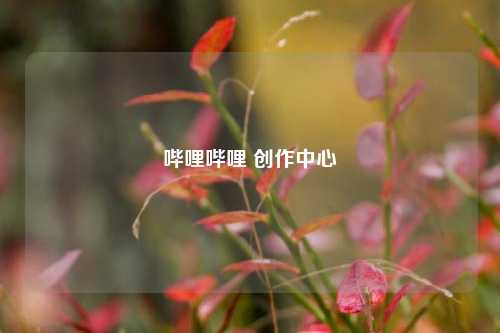 哔哩哔哩 创作中心  第1张