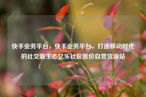 快手业务平台，快手业务平台，打造移动时代的社交新生态亿乐社区低价自营货源站  第1张