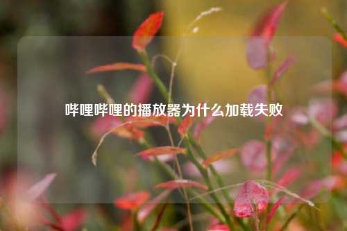 哔哩哔哩的播放器为什么加载失败  第1张