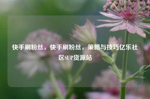 快手刷粉丝	，快手刷粉丝，策略与技巧亿乐社区SUP货源站  第1张