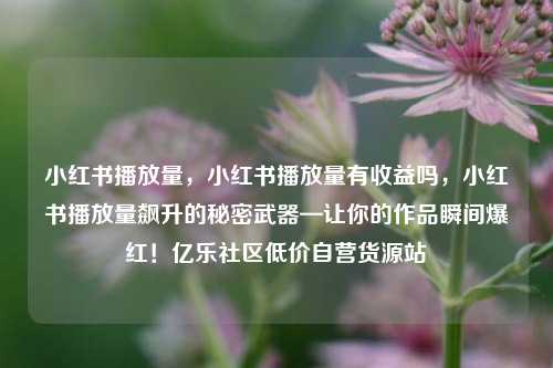 小红书播放量，小红书播放量有收益吗，小红书播放量飙升的秘密武器—让你的作品瞬间爆红！亿乐社区低价自营货源站  第1张