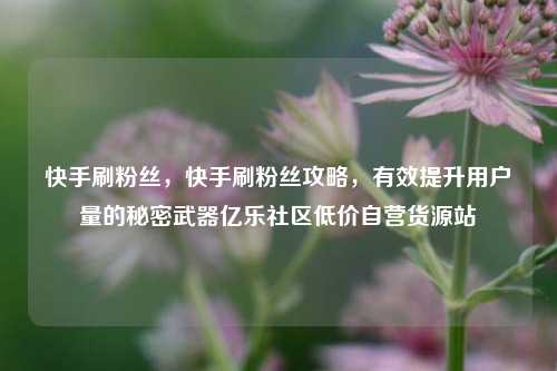 快手刷粉丝，快手刷粉丝攻略，有效提升用户量的秘密武器亿乐社区低价自营货源站  第1张