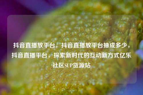 抖音直播放平台	，抖音直播放平台抽成多少，抖音直播平台，探索新时代的互动新方式亿乐社区SUP货源站  第1张