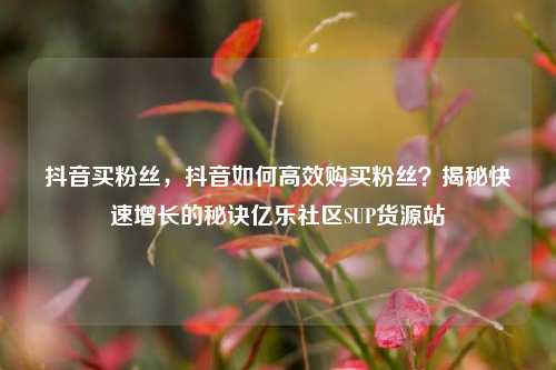 抖音买粉丝，抖音如何高效购买粉丝？揭秘快速增长的秘诀亿乐社区SUP货源站  第1张