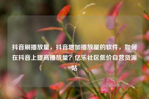 抖音刷播放量，抖音增加播放量的软件，如何在抖音上提高播放量？亿乐社区低价自营货源站  第1张
