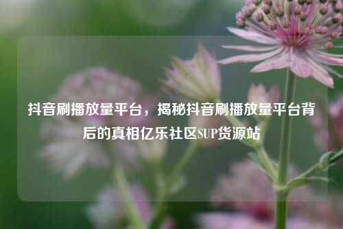 抖音刷播放量平台，揭秘抖音刷播放量平台背后的真相亿乐社区SUP货源站  第1张