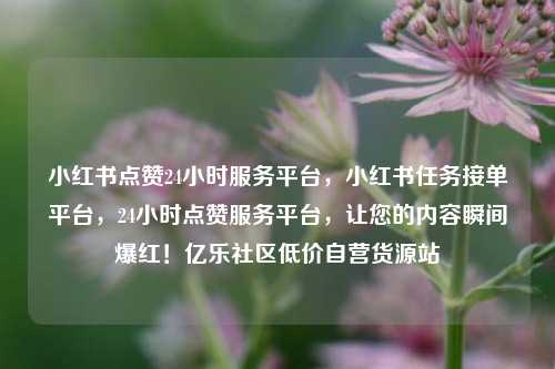小红书点赞24小时服务平台，小红书任务接单平台	，24小时点赞服务平台，让您的内容瞬间爆红！亿乐社区低价自营货源站  第1张