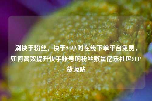 刷快手粉丝，快手24小时在线下单平台免费，如何高效提升快手账号的粉丝数量亿乐社区SUP货源站  第1张