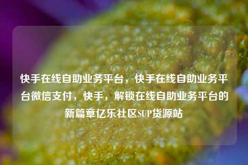 快手在线自助业务平台	，快手在线自助业务平台微信支付，快手，解锁在线自助业务平台的新篇章亿乐社区SUP货源站  第1张