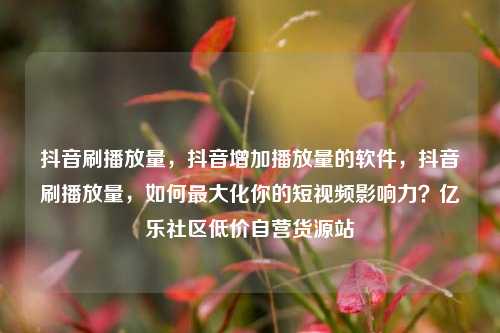 抖音刷播放量，抖音增加播放量的软件，抖音刷播放量，如何最大化你的短视频影响力？亿乐社区低价自营货源站  第1张