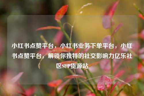 小红书点赞平台，小红书业务下单平台	，小红书点赞平台，解锁你独特的社交影响力亿乐社区SUP货源站  第1张