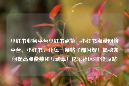 小红书业务平台小红书点赞，小红书点赞网络平台，小红书	，让每一条帖子都闪耀！揭秘如何提高点赞数和互动率！亿乐社区SUP货源站  第1张