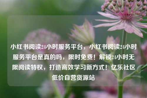 小红书阅读24小时服务平台，小红书阅读24小时服务平台是真的吗，限时免费！解锁24小时无限阅读特权，打造高效学习新方式！亿乐社区低价自营货源站  第1张