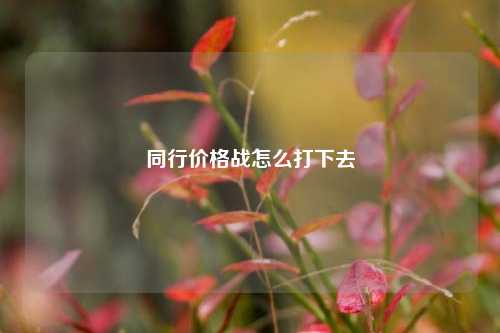 同行价格战怎么打下去  第1张