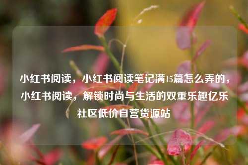 小红书阅读	，小红书阅读笔记满15篇怎么弄的，小红书阅读，解锁时尚与生活的双重乐趣亿乐社区低价自营货源站  第1张