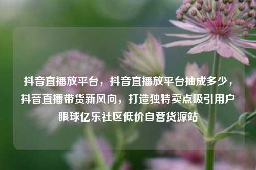 抖音直播放平台	，抖音直播放平台抽成多少，抖音直播带货新风向，打造独特卖点吸引用户眼球亿乐社区低价自营货源站  第1张