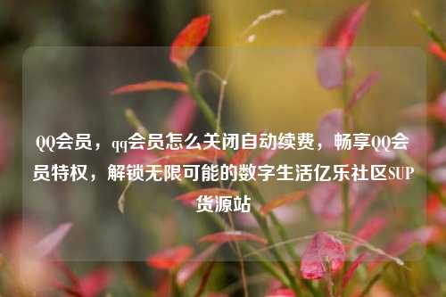 QQ会员，qq会员怎么关闭自动续费	，畅享QQ会员特权，解锁无限可能的数字生活亿乐社区SUP货源站  第1张