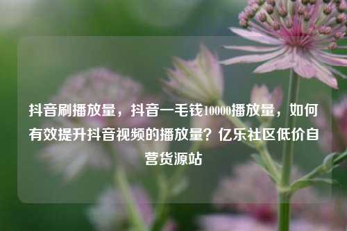 抖音刷播放量，抖音一毛钱10000播放量，如何有效提升抖音视频的播放量？亿乐社区低价自营货源站  第1张