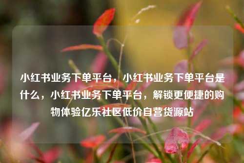 小红书业务下单平台，小红书业务下单平台是什么	，小红书业务下单平台，解锁更便捷的购物体验亿乐社区低价自营货源站  第1张