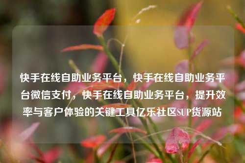 快手在线自助业务平台，快手在线自助业务平台微信支付，快手在线自助业务平台	，提升效率与客户体验的关键工具亿乐社区SUP货源站  第1张