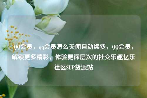 QQ会员，qq会员怎么关闭自动续费	，QQ会员，解锁更多精彩，体验更深层次的社交乐趣亿乐社区SUP货源站  第1张