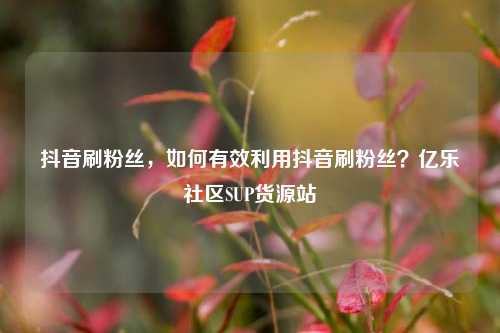 抖音刷粉丝，如何有效利用抖音刷粉丝？亿乐社区SUP货源站  第1张