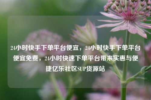 24小时快手下单平台便宜，24小时快手下单平台便宜免费，24小时快速下单平台带来实惠与便捷亿乐社区SUP货源站  第1张