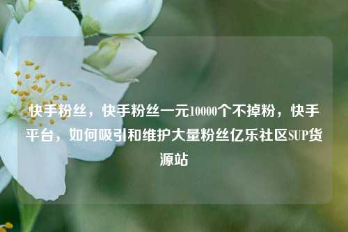 快手粉丝，快手粉丝一元10000个不掉粉，快手平台，如何吸引和维护大量粉丝亿乐社区SUP货源站  第1张