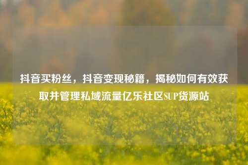 抖音买粉丝，抖音变现秘籍，揭秘如何有效获取并管理私域流量亿乐社区SUP货源站  第1张