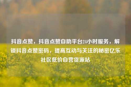 抖音点赞，抖音点赞自助平台24小时服务，解锁抖音点赞密码，提高互动与关注的秘密亿乐社区低价自营货源站  第1张