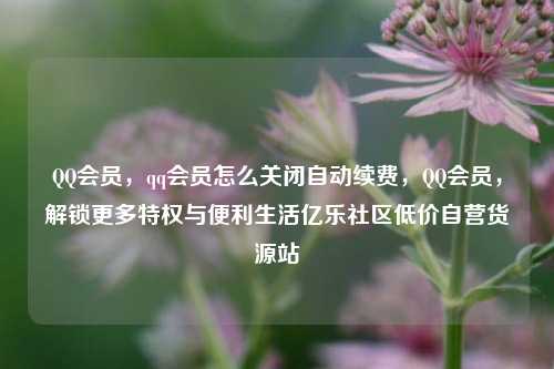 QQ会员，qq会员怎么关闭自动续费，QQ会员，解锁更多特权与便利生活亿乐社区低价自营货源站  第1张
