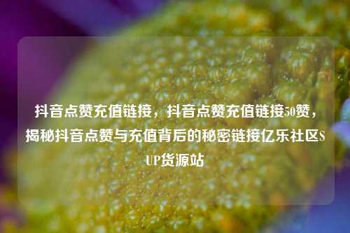 抖音点赞充值链接，抖音点赞充值链接50赞，揭秘抖音点赞与充值背后的秘密链接亿乐社区SUP货源站  第1张