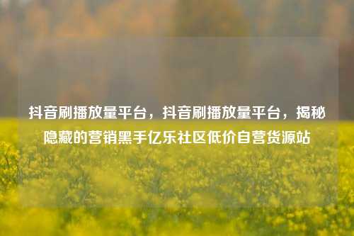 抖音刷播放量平台，抖音刷播放量平台	，揭秘隐藏的营销黑手亿乐社区低价自营货源站  第1张