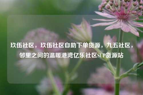 玖伍社区，玖伍社区自助下单货源，九五社区	，邻里之间的温暖港湾亿乐社区SUP货源站  第1张