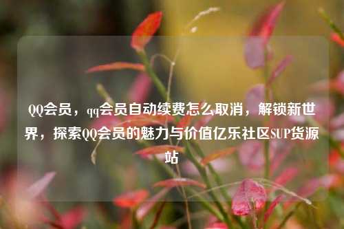 QQ会员	，qq会员自动续费怎么取消，解锁新世界，探索QQ会员的魅力与价值亿乐社区SUP货源站  第1张
