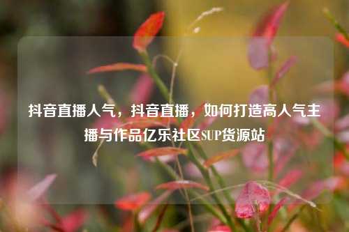 抖音直播人气，抖音直播	，如何打造高人气主播与作品亿乐社区SUP货源站  第1张