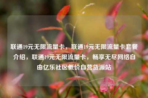 联通19元无限流量卡，联通19元无限流量卡套餐介绍	，联通19元无限流量卡，畅享无尽网络自由亿乐社区低价自营货源站  第1张