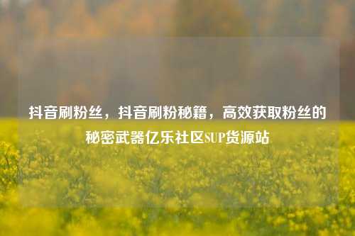 抖音刷粉丝，抖音刷粉秘籍，高效获取粉丝的秘密武器亿乐社区SUP货源站  第1张