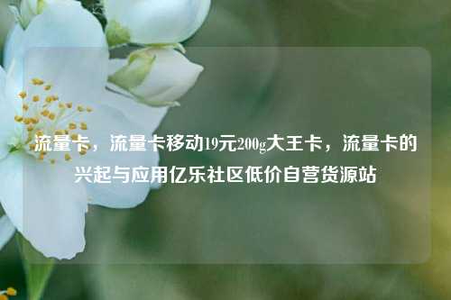 流量卡，流量卡移动19元200g大王卡	，流量卡的兴起与应用亿乐社区低价自营货源站  第1张