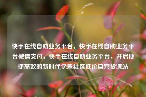 快手在线自助业务平台，快手在线自助业务平台微信支付，快手在线自助业务平台	，开启便捷高效的新时代亿乐社区低价自营货源站  第1张