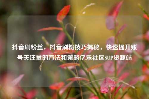 抖音刷粉丝	，抖音刷粉技巧揭秘，快速提升账号关注量的方法和策略亿乐社区SUP货源站  第1张