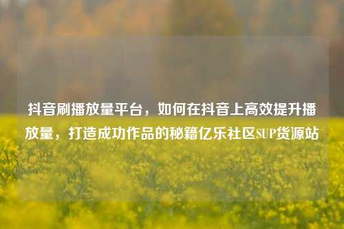 抖音刷播放量平台，如何在抖音上高效提升播放量，打造成功作品的秘籍亿乐社区SUP货源站  第1张