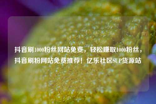 抖音刷1000粉丝网站免费，轻松赚取1000粉丝，抖音刷粉网站免费推荐！亿乐社区SUP货源站  第1张