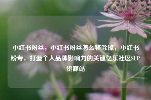 小红书粉丝	，小红书粉丝怎么移除掉，小红书粉专，打造个人品牌影响力的关键亿乐社区SUP货源站  第1张